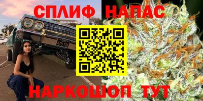 Альфа ПВП Ливны